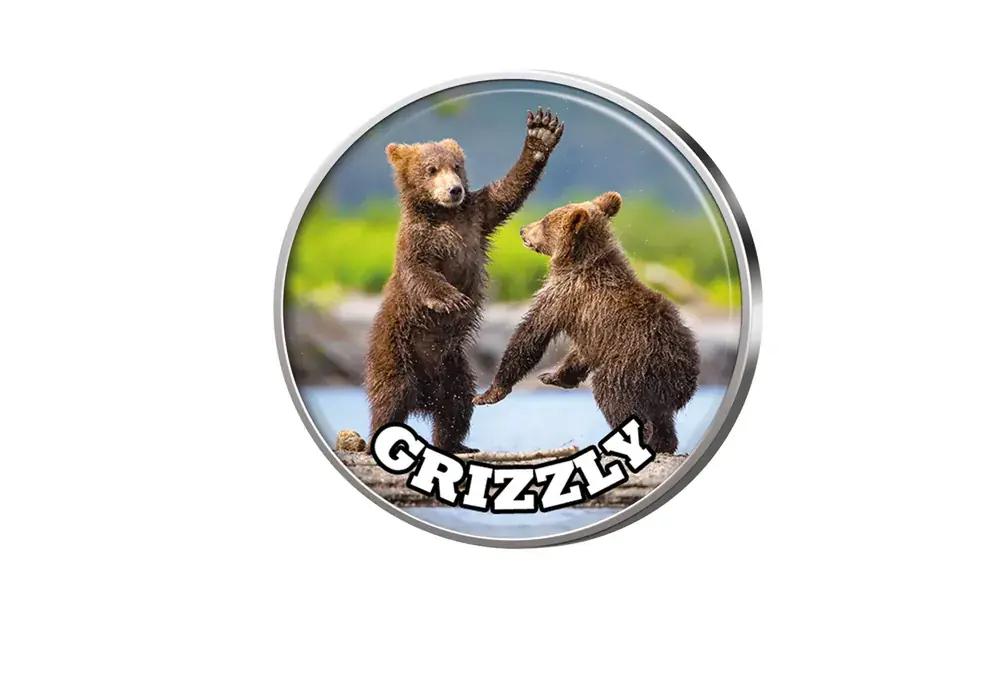 Neue Ware | Grizzly Junge mit Farbmotiv
